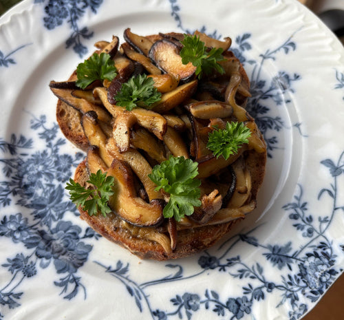 Wild Mushroom Toast