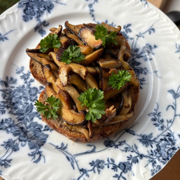 Wild Mushroom Toast